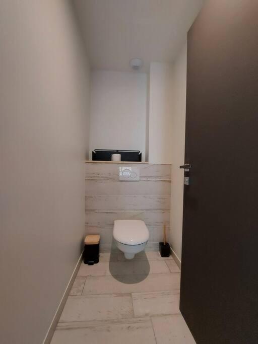 Charmant Et Spacieux Appartement A Quelques Pas Du Lac Duingt Eksteriør billede